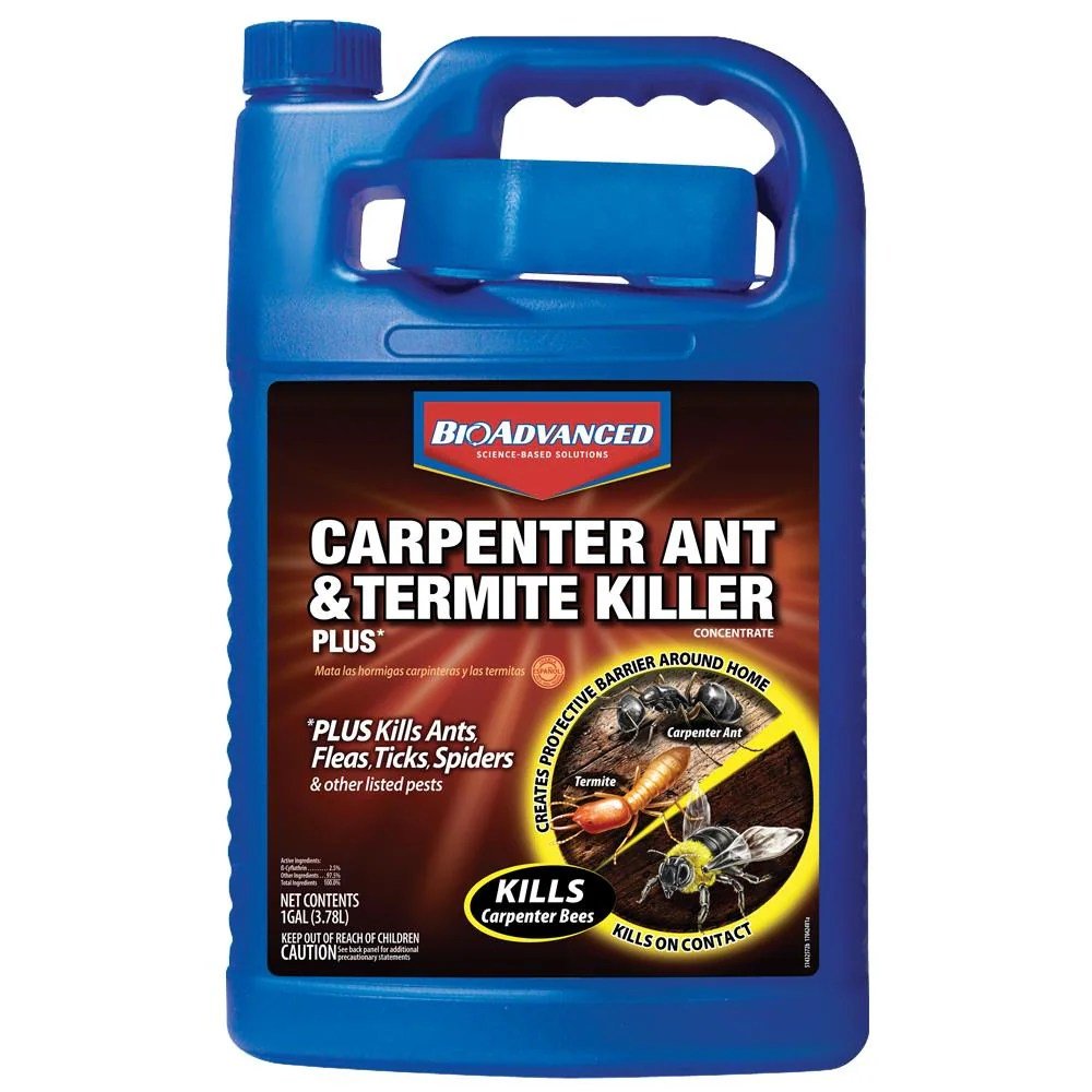 Lowes ant carpenter termite bayer pesticides termites pest concentrate mobileimages gallon