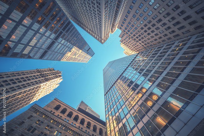 Buildings tall building bligh street elliptical business tower asia sydney named green structures district story central stands australasia architects nearby