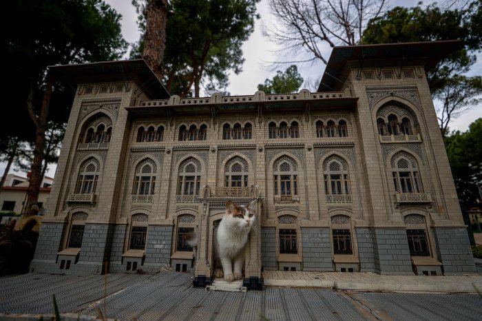 Toko cat bangunan terdekat