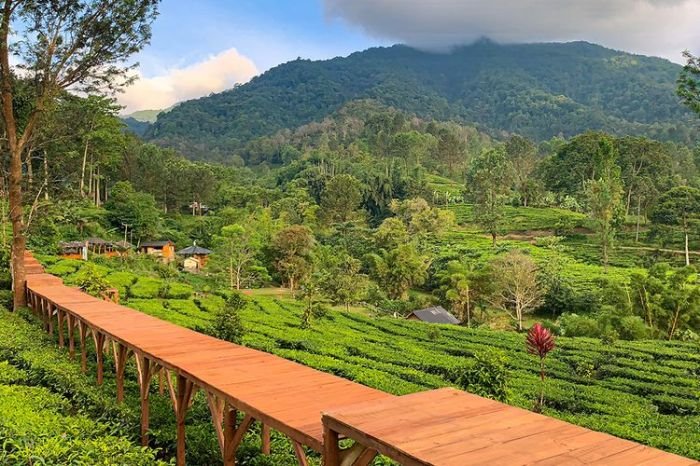 Toko bangunan gunung mas
