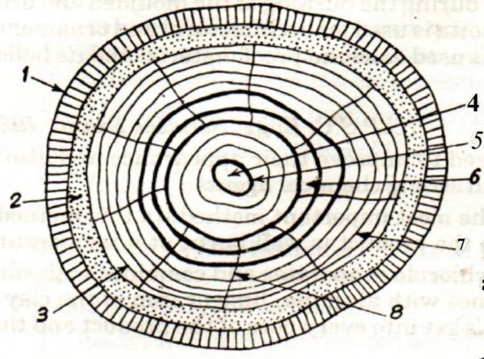 Nota material bangunan