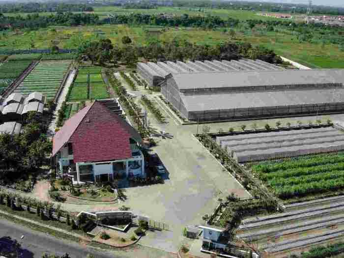 Depo bangunan sidoarjo ulasan