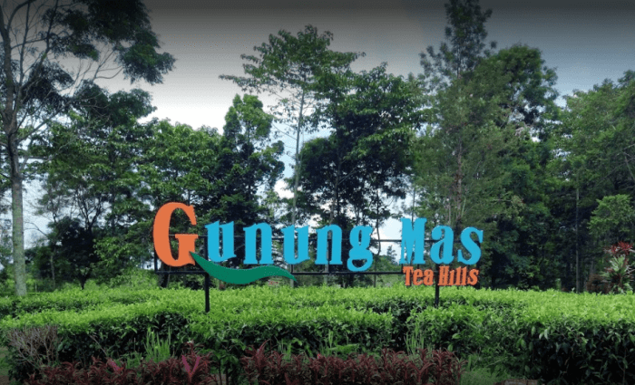 Toko bangunan gunung mas