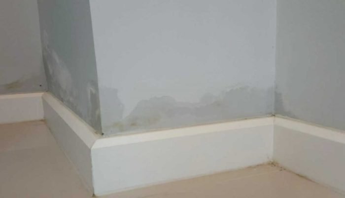 Hama dalam bangunan