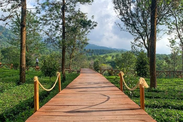 Toko bangunan gunung mas