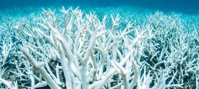 Super bangunan muara karang