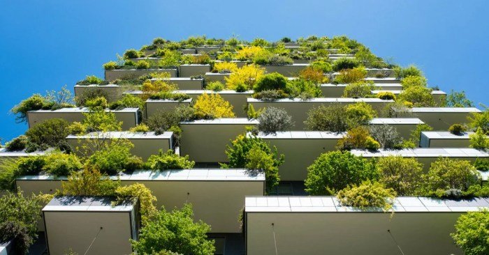 Green building energy plants concept benefits goals covered conserve future want taste smell feel stand earth field air
