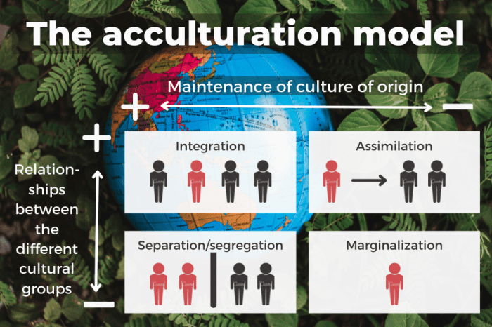 Acculturation examples culture process buzzle saved explained intercultural