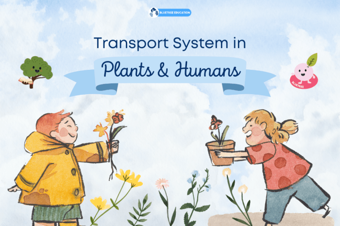 Else orchids orchid parecen objetos parece demilked pareidolia wajah bentuk flor insects cosas bunga menyerupai manusia lihat monkeys creature plantas