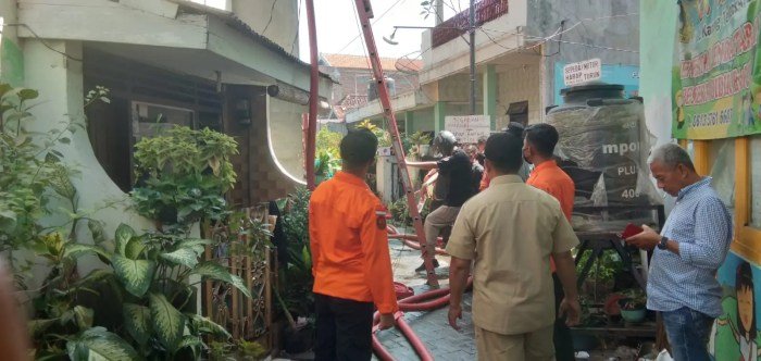 Sarang dyan jhs ruang pamer