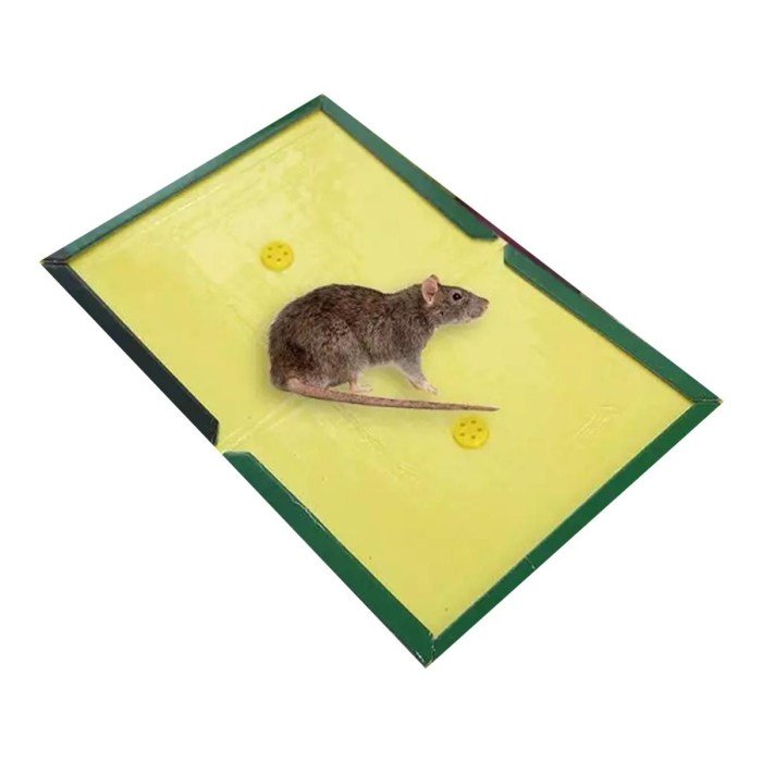 Harga lem tikus di toko bangunan