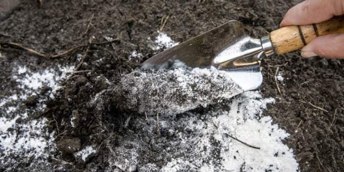 Lime building field construction tests works quality physical sample test table size