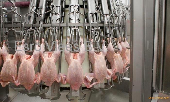 Harga cakar ayam bangunan