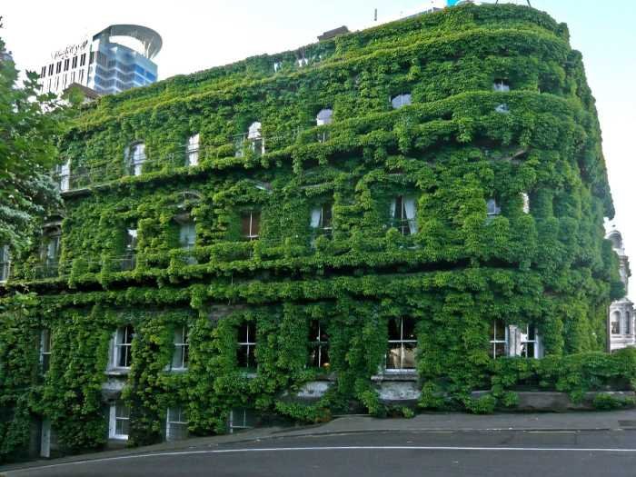 Green definition building transportation minimize proximity shops jobs schools buildings located key close need public