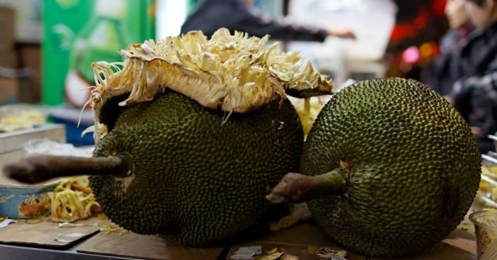 Global bangunan nangka