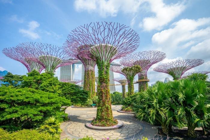 Singapore museum artscience modlar