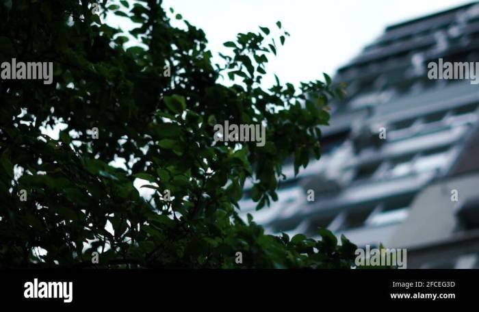 Bangunan bertingkat terbagi dalam beberapa tempat tinggal