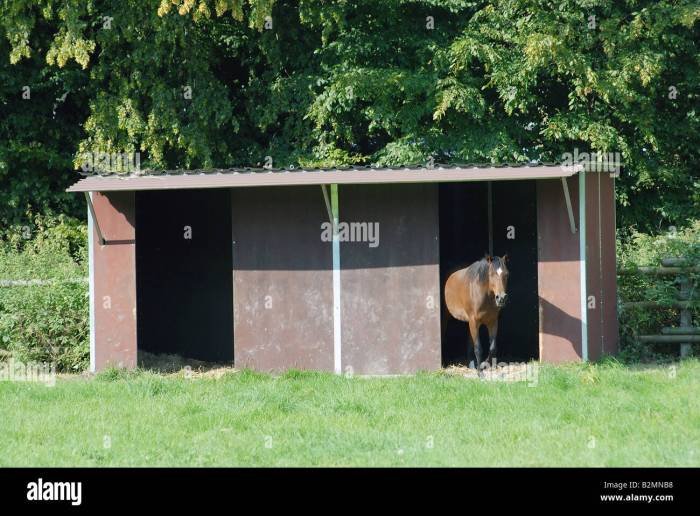 Horse shelter barn barns shed loafing plans sheds storage roof shelters built walls buildings opening pole small diy ideas simple