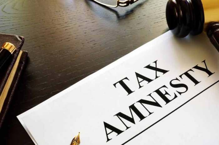 Amnesty tax belajar mandela tirto