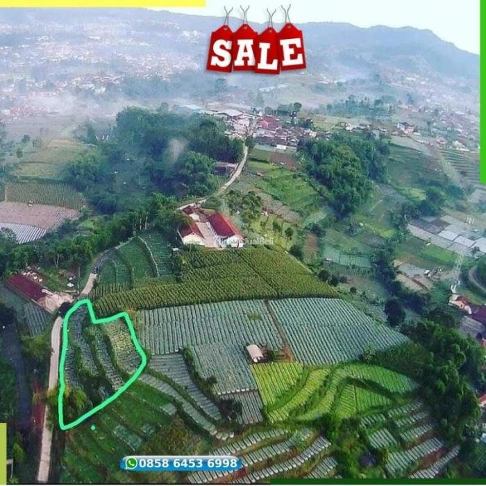 Pajak bumi dan bangunan bandung