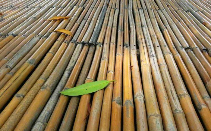 Bahan bangunan yang berasal dari produksi hortikultura adalah