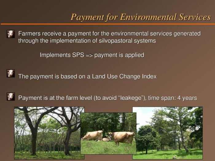 Sistem pembayaran pajak bumi dan bangunan menggunakan sistem