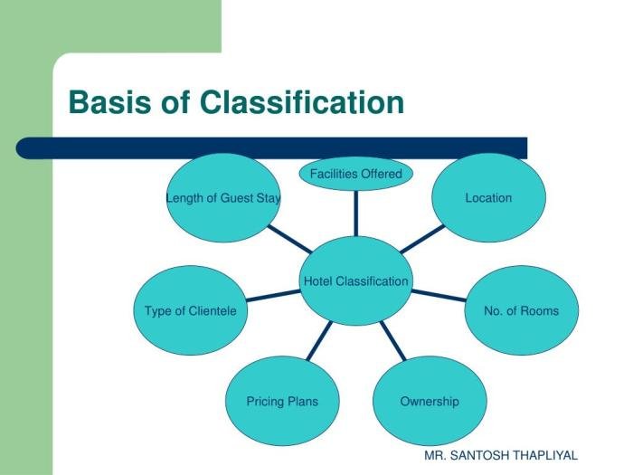 Hotel classification international case pdf studies comparison systems