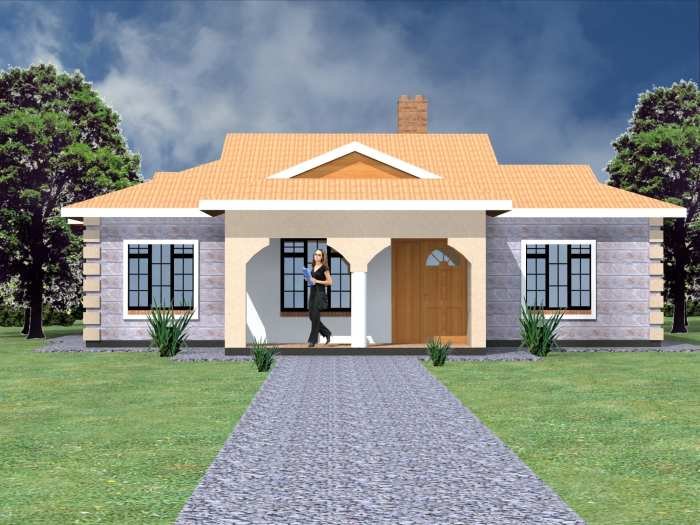 House functional minimalism petrenko igor
