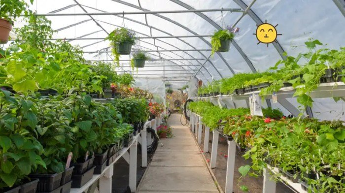 Desain rumah kaca minimalis sederhana