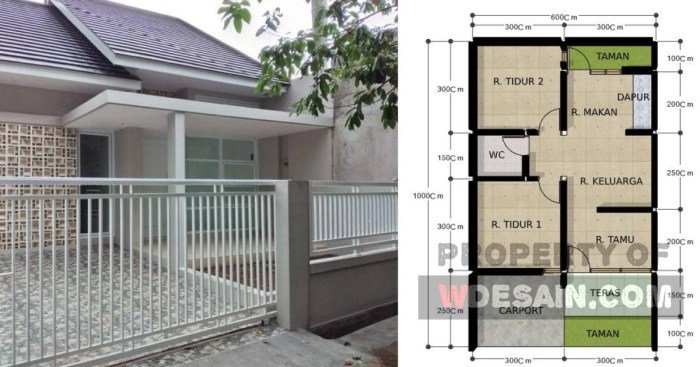 Desain rumah 6x10 1 lantai