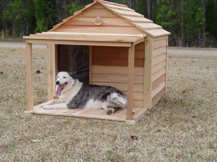 Dog house luxury designs houses two modern chihuahua mansion pets pet storey adorable plans animal framework latimes article ads inside