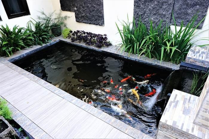 Desain rumah kolam ikan