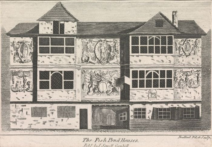 Desain rumah kolam ikan