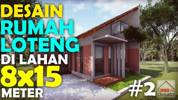 Desain rumah 8x15 3d