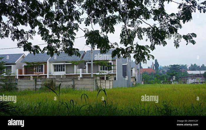 Desain rumah di tengah sawah